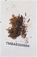 腐木苔屬藏品圖，第2張